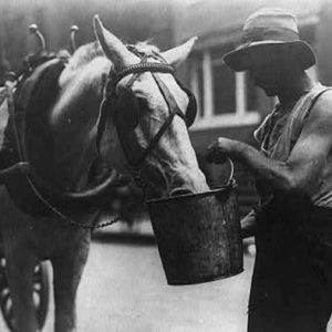 (Library of Congress/Public Domain)