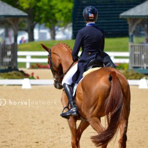 dressage-rolex
