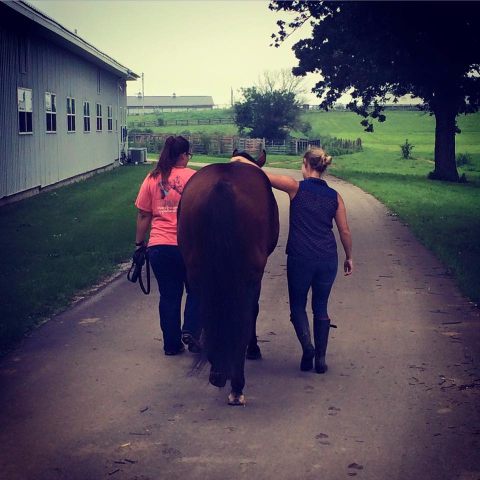 Jackie handling her favorite stallion, Zippy.