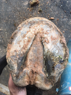 Shooter’s feet, May 26th, 2016.