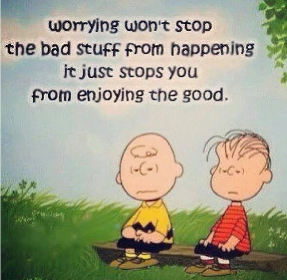 pleanuts-worry-cartoon