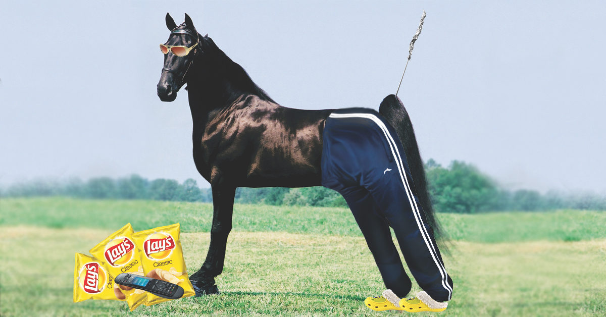 horse play archives horse network