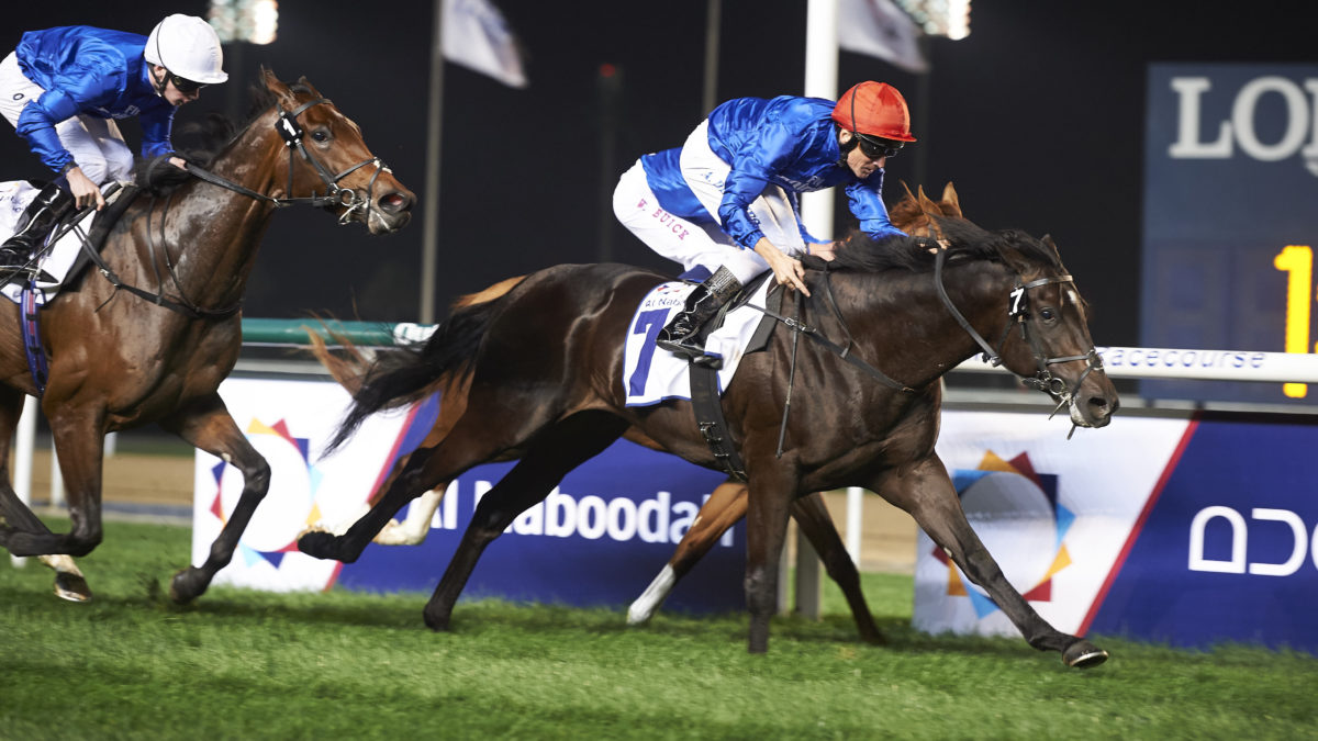 horse racing network horse racing network