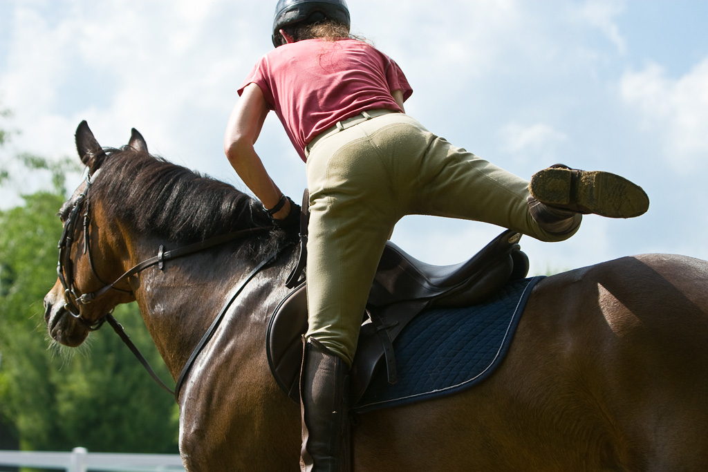 5 cosas que aprendí sobre la vida montando a caballo - todoparamicaballo