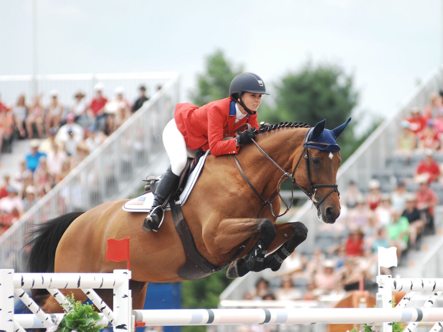 Q&A How Can You Tell If a Horse Has Scope?