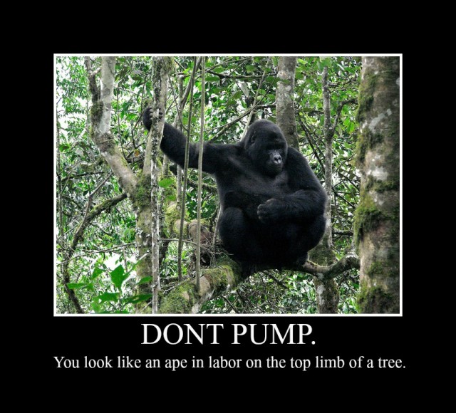 If George Morris Quotes Were Motivational Posters