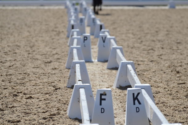 Ride a Training Level Test, From the Horse’s Perspective