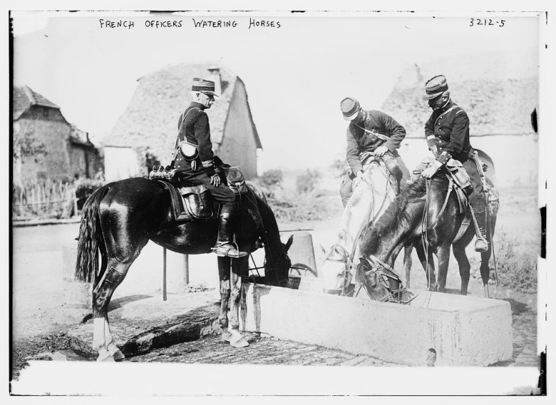 French-Officers-Water-horses-1914.1915_LOC1