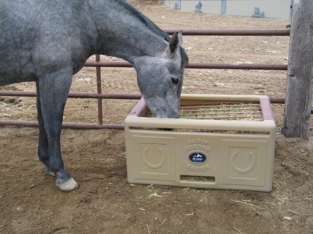 Horse_eating_from_Slow_Feeder_Saver-1-e1446578604880