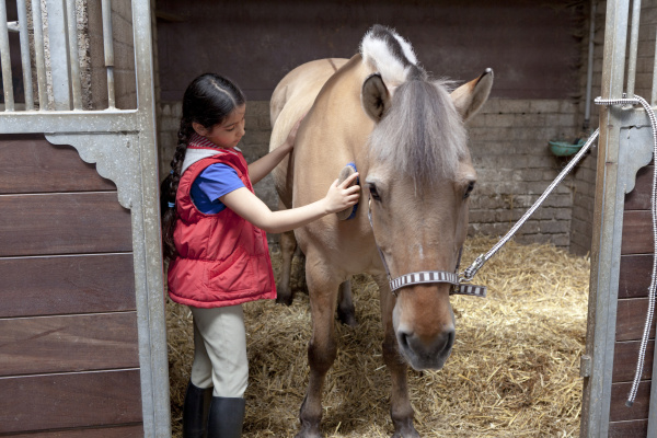 Little girl brushing her favorite horse