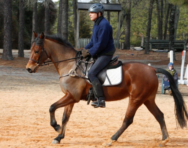 Weight Lifting for Horses