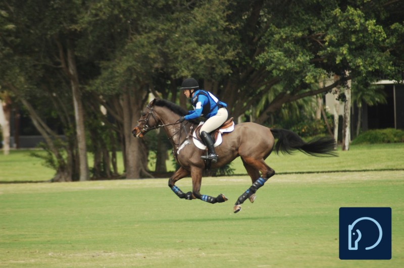 Buck Davidson Eventing Showcase
