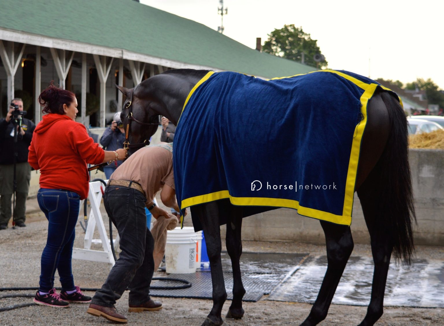 Cooling Out a Hot Horse