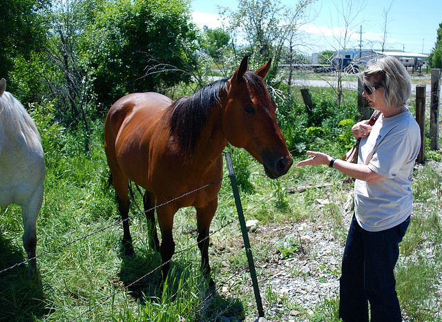 Woman and Horse FREE