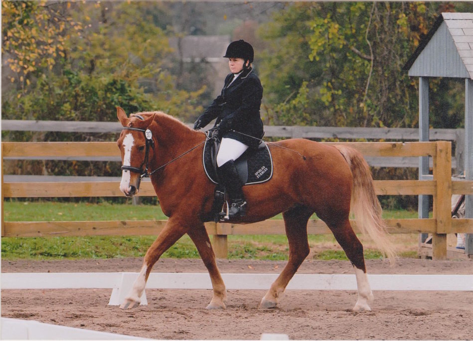 There Are Horse Shows and Then, There Are Horse Shows