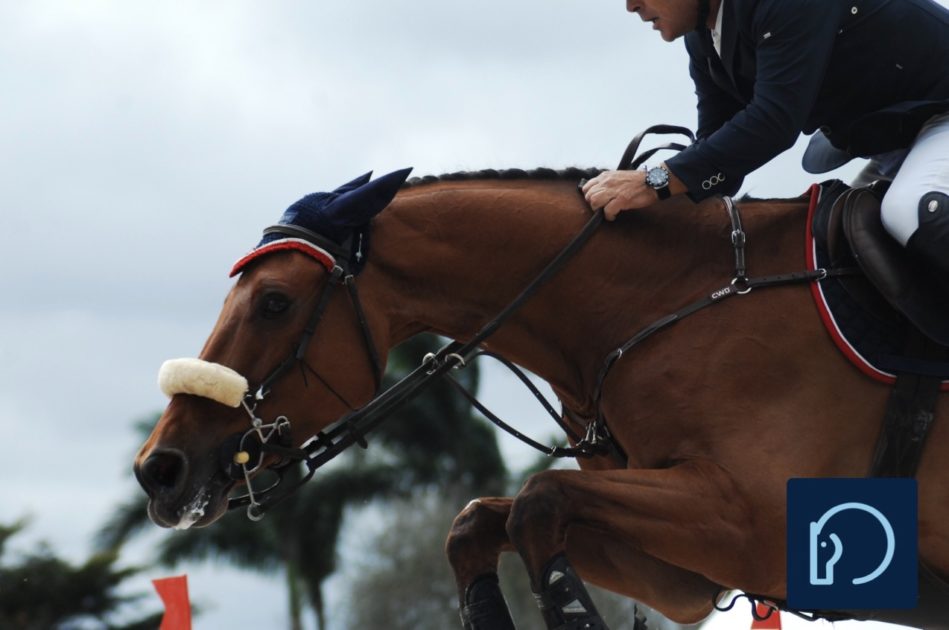 10 Things I Learned About Riding from Being a Groom