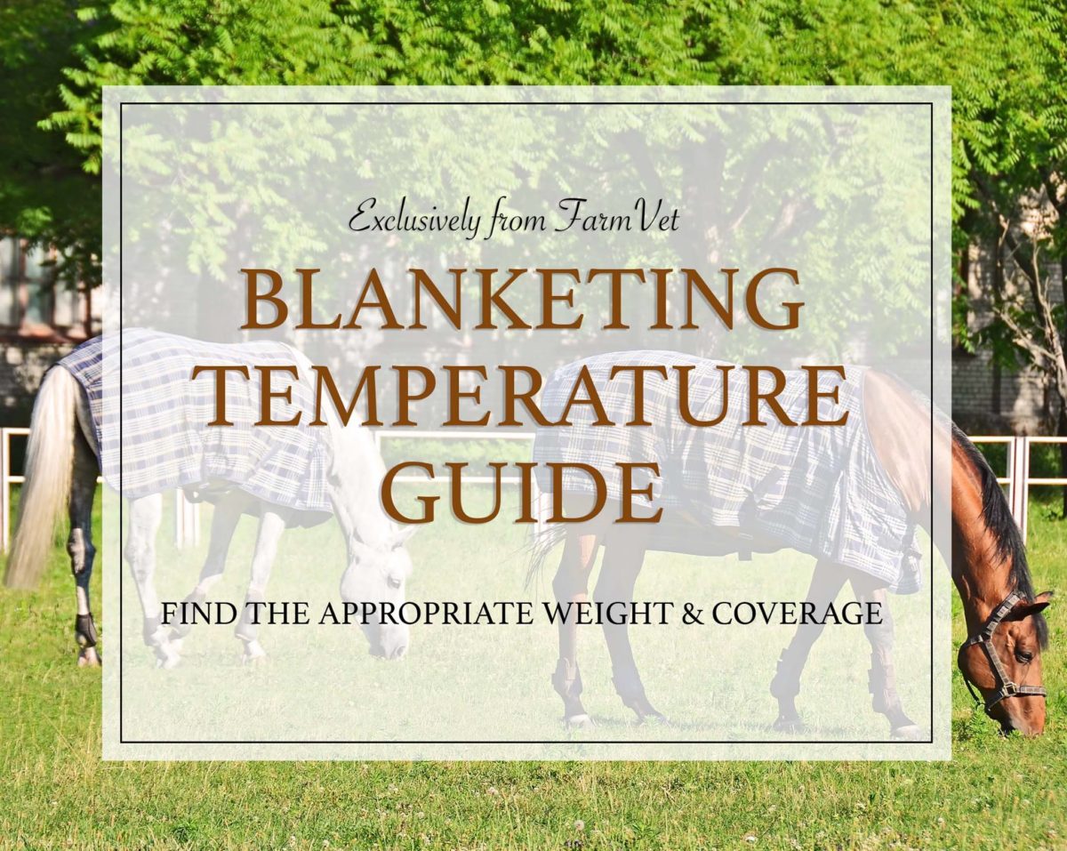 Weather Or Not A NoNonsense Guide to Blanketing