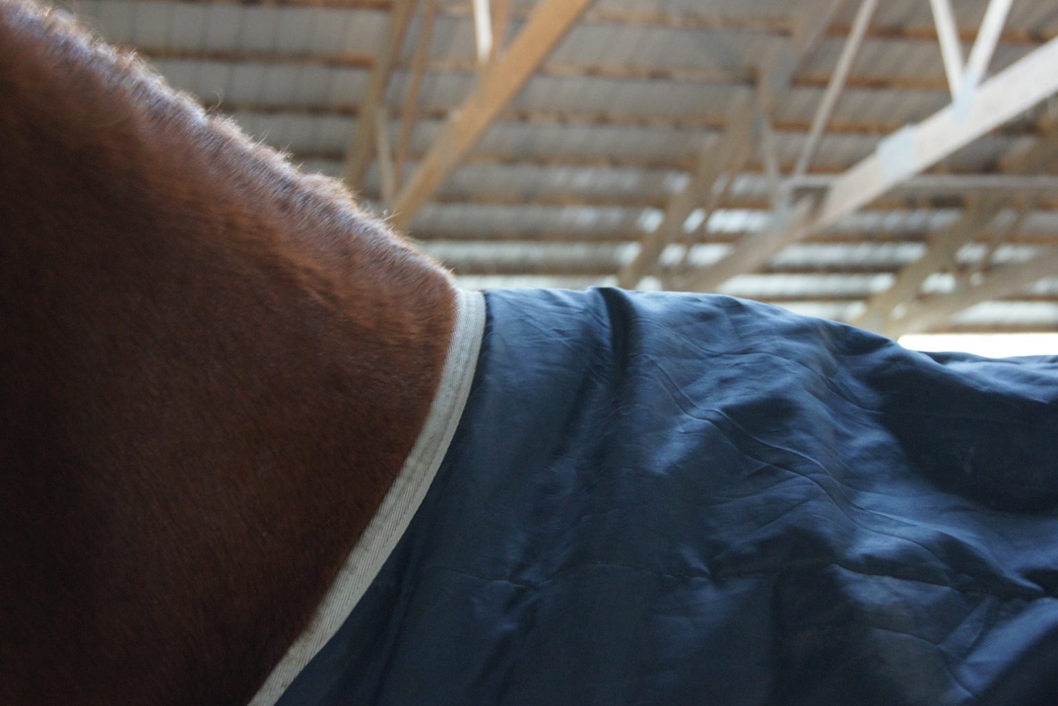 Weather Or Not A NoNonsense Guide to Blanketing