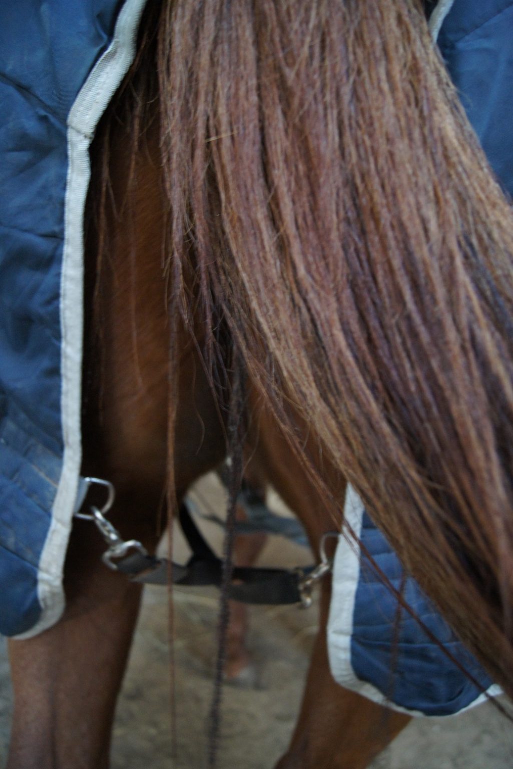 Weather Or Not A NoNonsense Guide to Blanketing