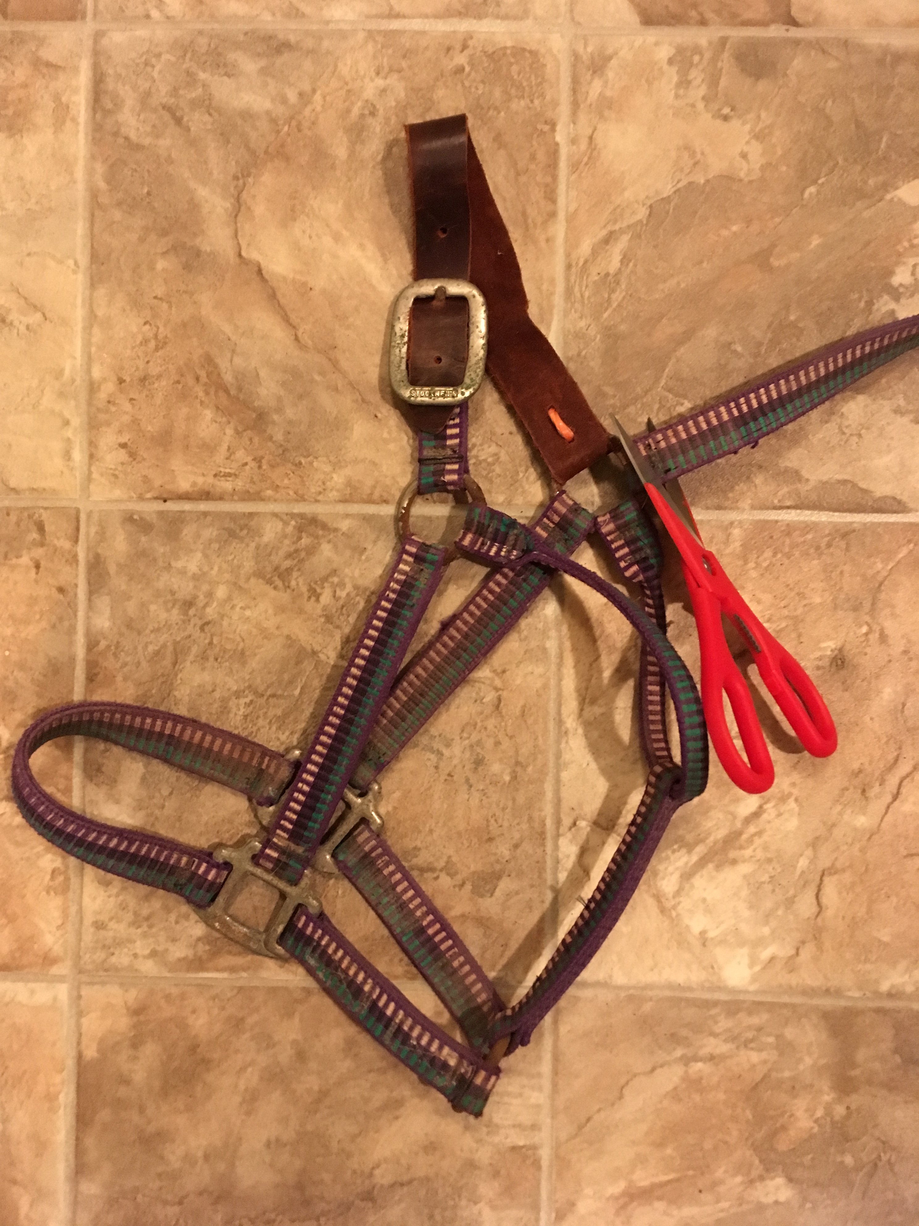 DIY Make Your Own Breakaway Halter