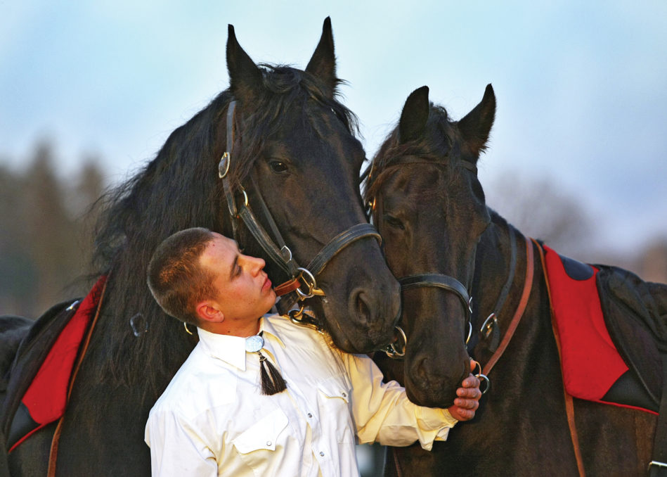 The Main Types of Horse Personalities