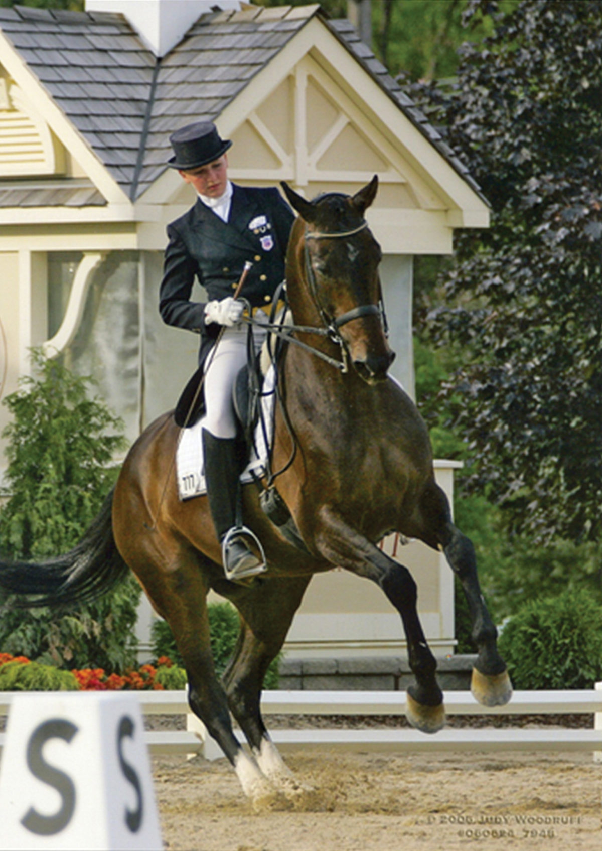 The Main Types of Horse Personalities