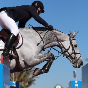george horse nelson washington know things jumping