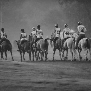 horse george nelson washington know things equestrian games