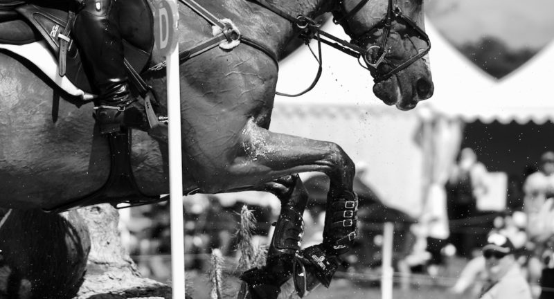Eventing Rotational Fall Canadian Eventer and Horse Die Following Rotational Fall at Rocking ...
