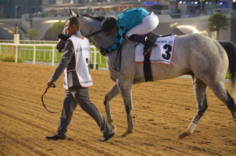 Racing Arrives at a Reckoning Moment