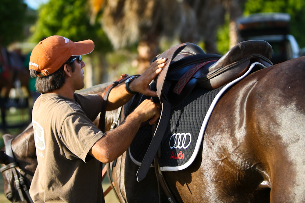 Confessions of a Polo Groom