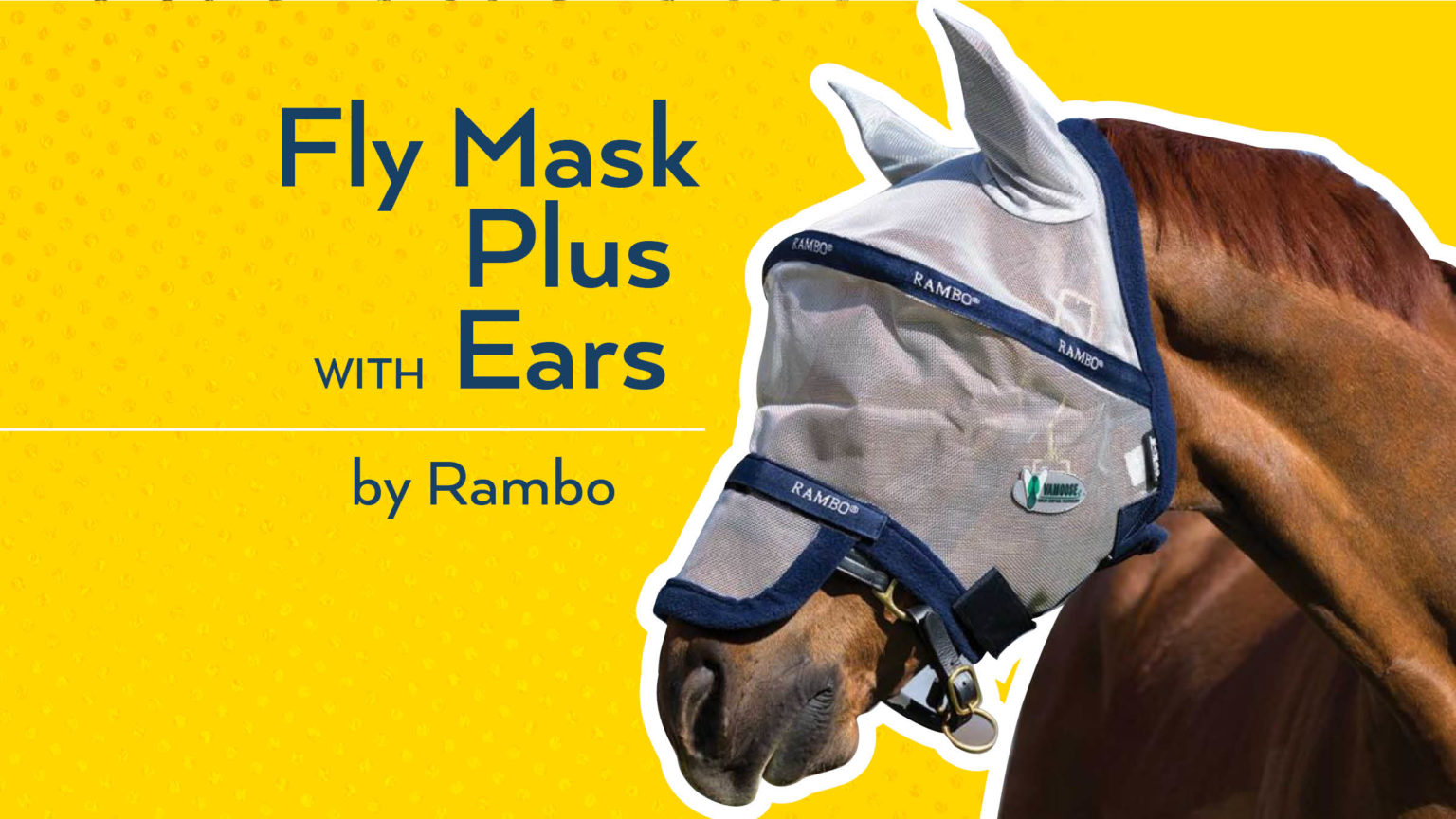 6 Fly Masks that Make Your Horse Look Fly (While Also Protecting Him