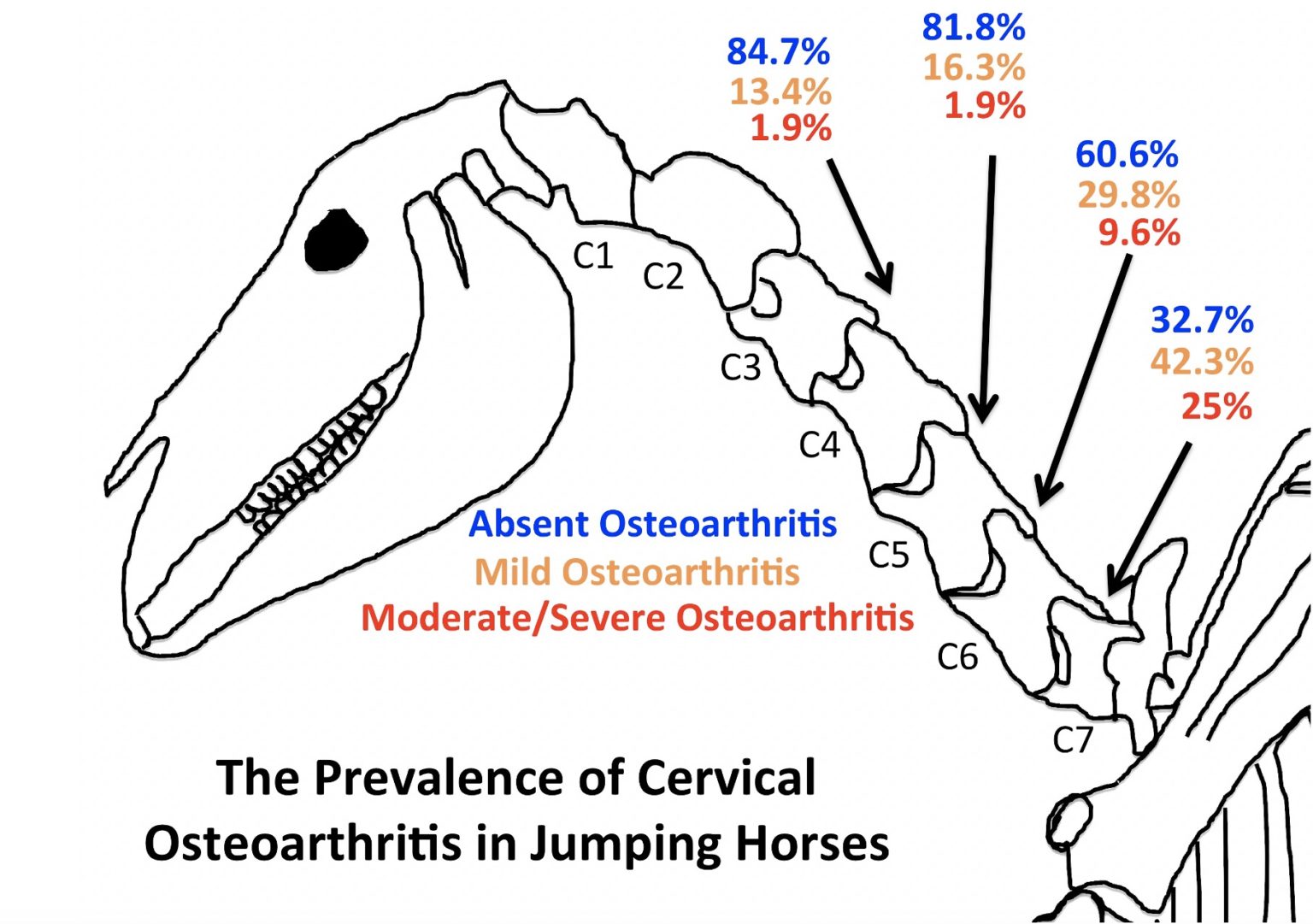 How Common Is Neck Osteoarthritis in Jumping Horses?