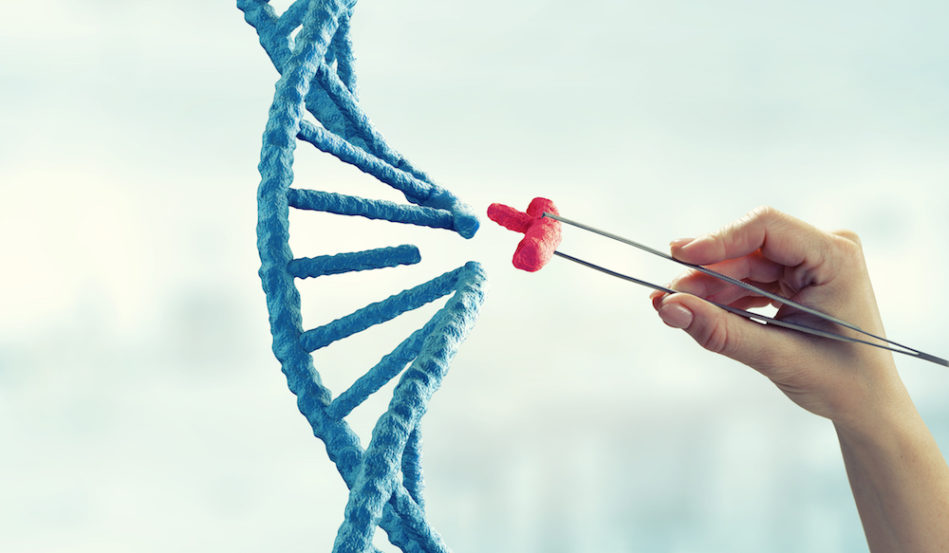 Is "Precision Breeding" the Future of Horse Sport?