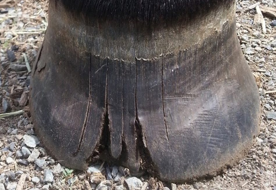 Crack Control What Causes Toe Cracks and How to Prevent Them