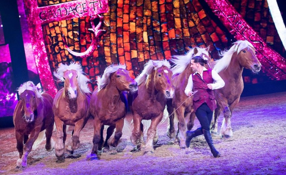 EQUITANA USA Is the Place to Be This Fall Join the ‘Celebration of All