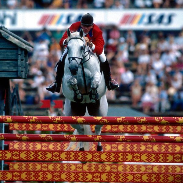 Q&A How Can You Tell If a Horse Has Scope?