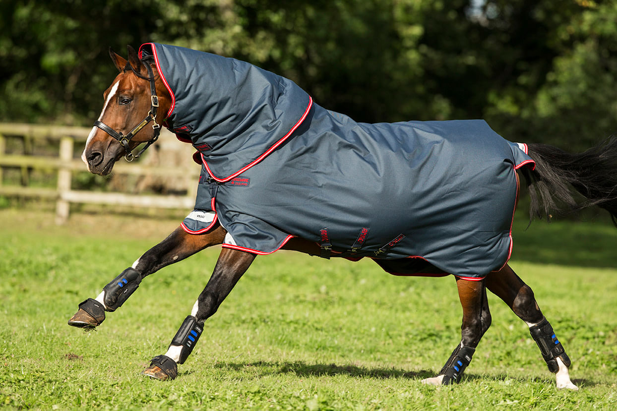 Horse Blanketing Based on Personality Type, a Guide