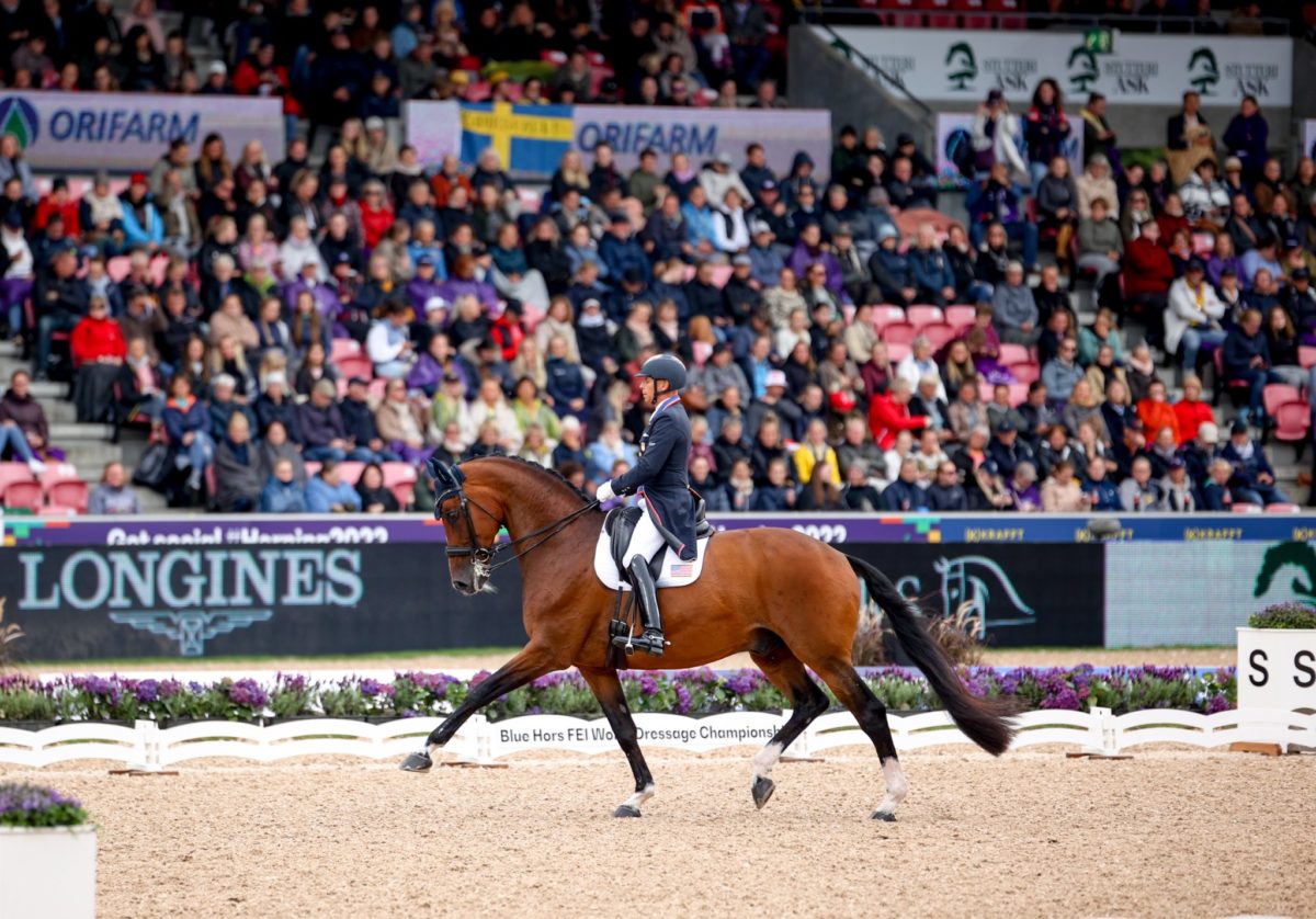 Horse Network News, Sports, Lifestyle. Everyday.