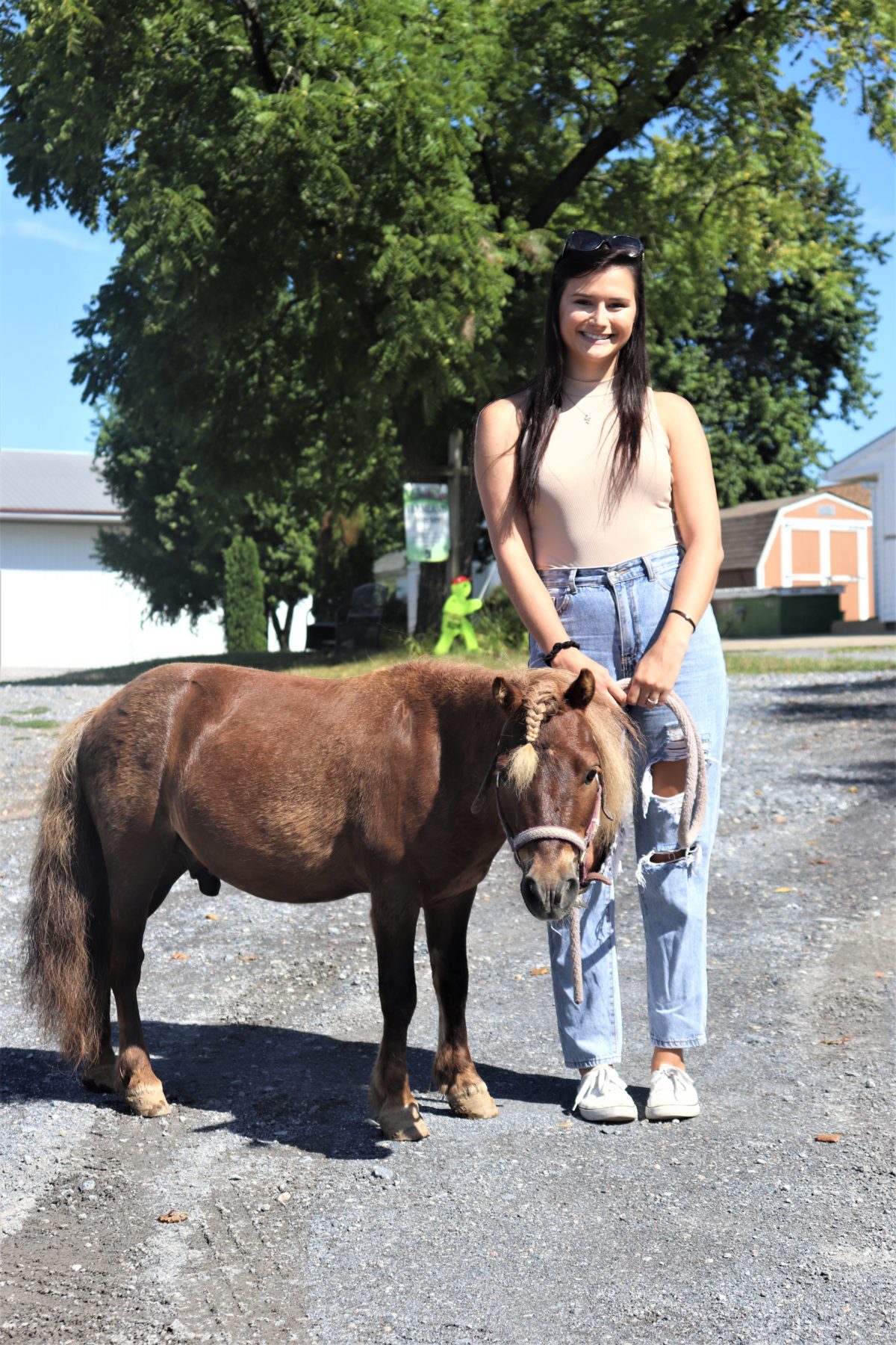 A Miniature Horse's Big Transformation