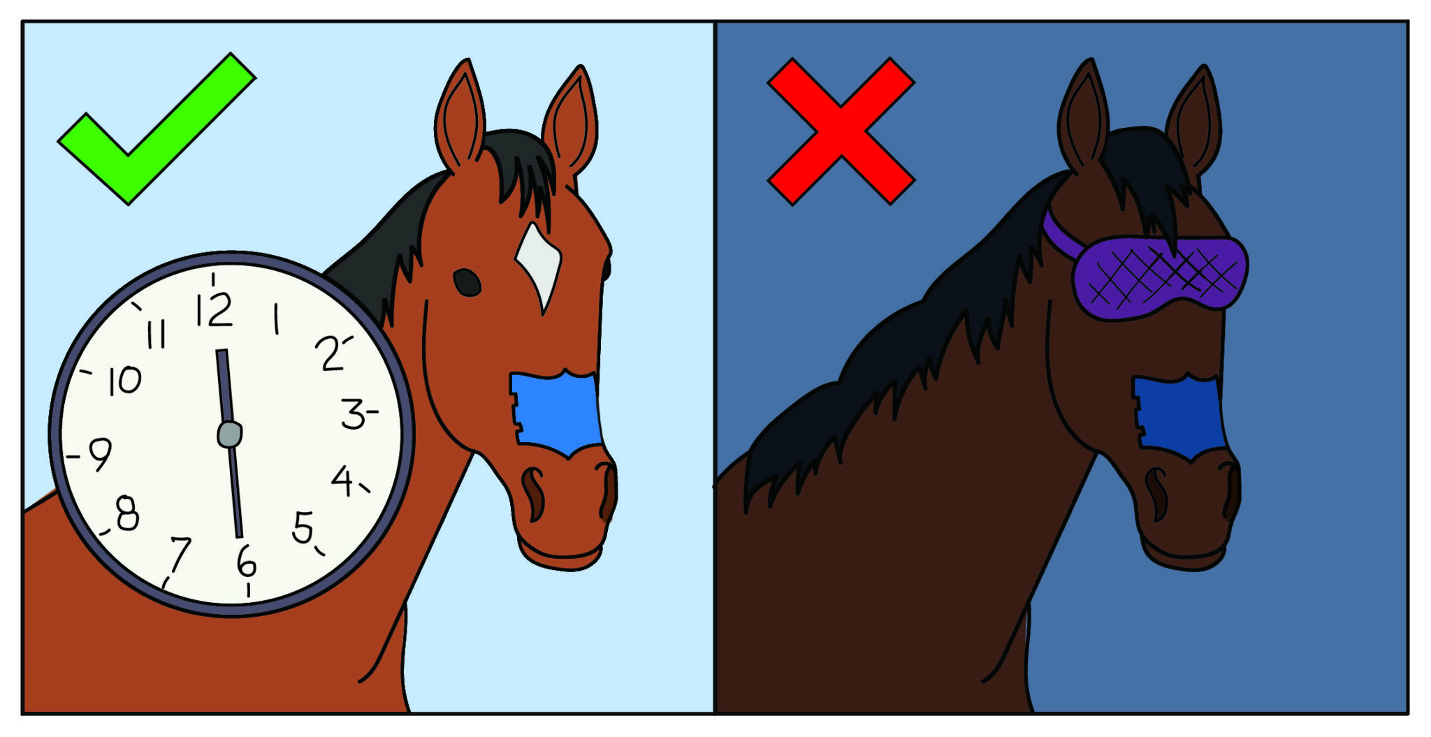 How to Apply FLAIR® Equine Nasal Strips