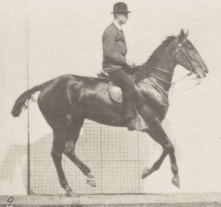 The Crupper, the Cribber and the Canter