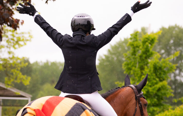 Michigan Horse Owners Shocked By These Free Horses! - coanl4d
