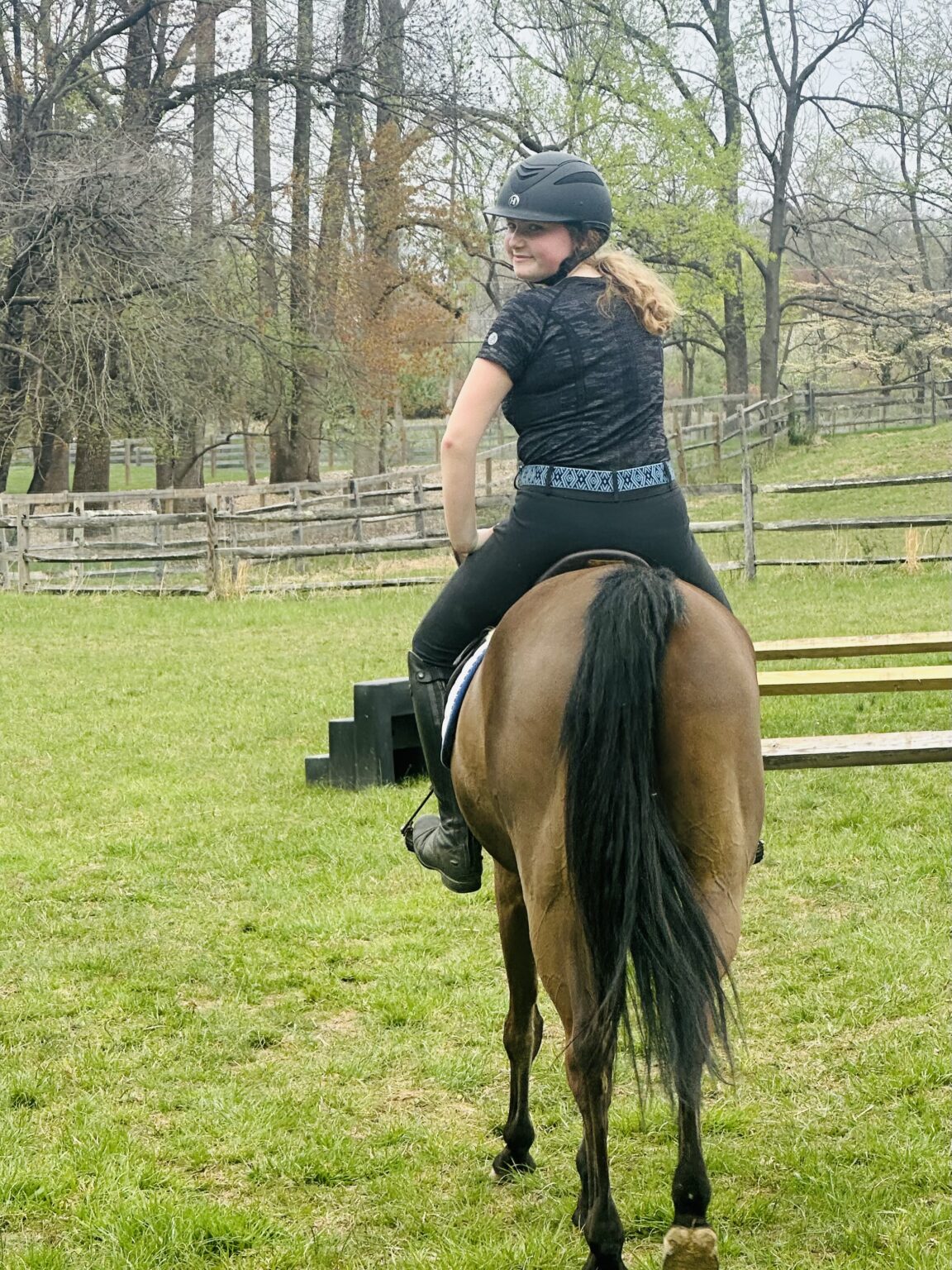 Kismet Pony main image 1